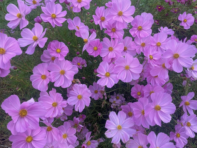 ひとつの時代が終わった気がします