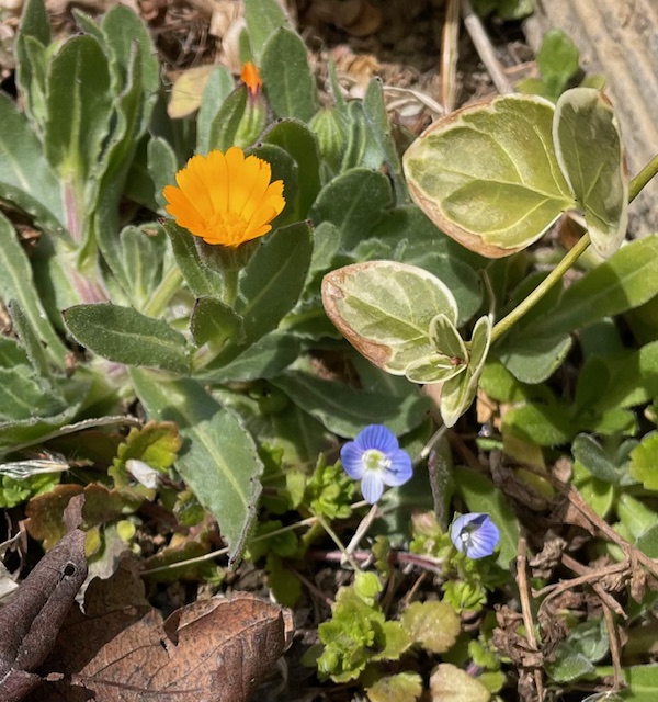 市民に分かりやすい情報の提供