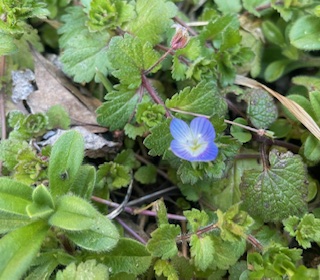 東日本大震災から15年