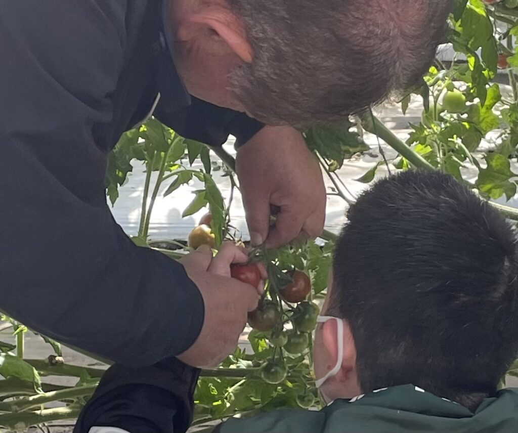 農福連携事業のこれから