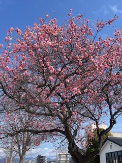 障害のある方の思いを受け止める