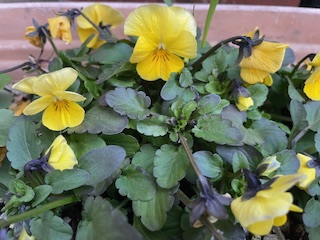 長野市の人事異動