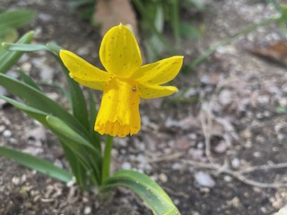 「なんのために行うのか」