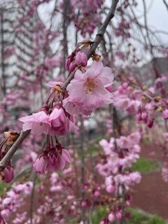 当たり前でない日常