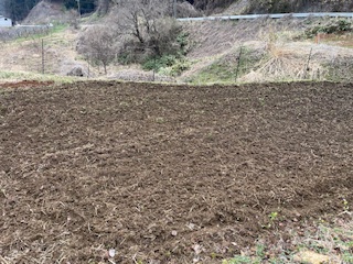 畑仕事がいよいよ始まります