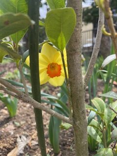 失敗したときのお詫びと感謝