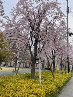 支援者を支える支援者の存在