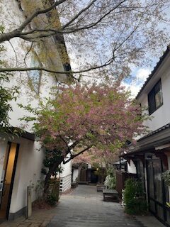 どうしたらできるか