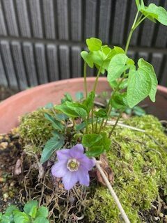 一緒に考える時間