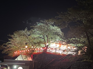 久しぶりの花見小屋