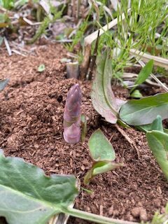 山に来ないと分からない価値