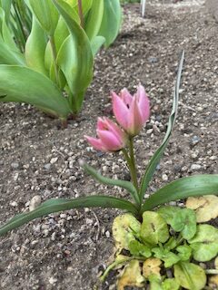 みんなが、みんなの子どもを育てる