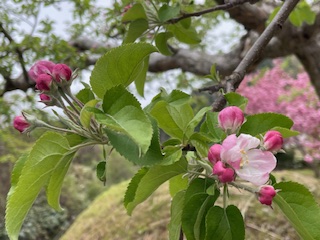 強みをいかす