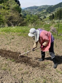 中山間地の農業