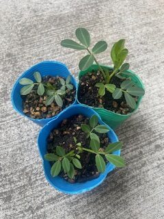 無題の投稿1043