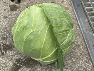 3回大汗をかきました