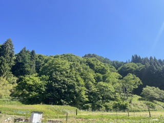 熊被害
