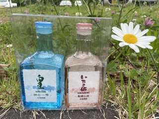 芋井の焼酎