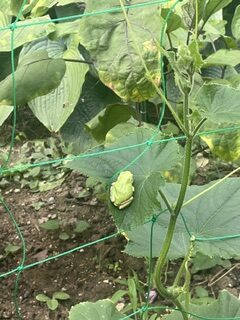 楽しくとらえる
