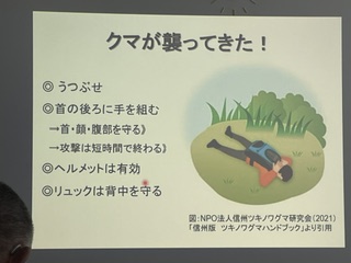 クマの生態と被害対策