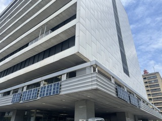 ぺブロスカイト太陽電池