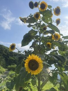 熊本支援