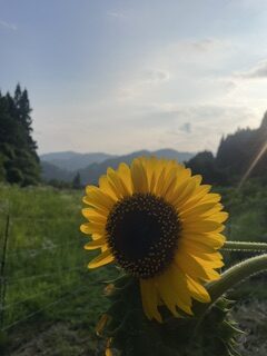 いざという時の備え