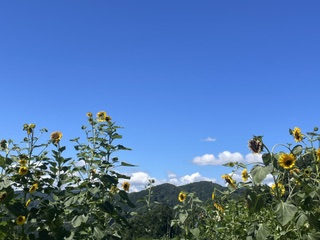 自己肯定感