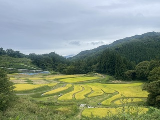 無題の投稿1862